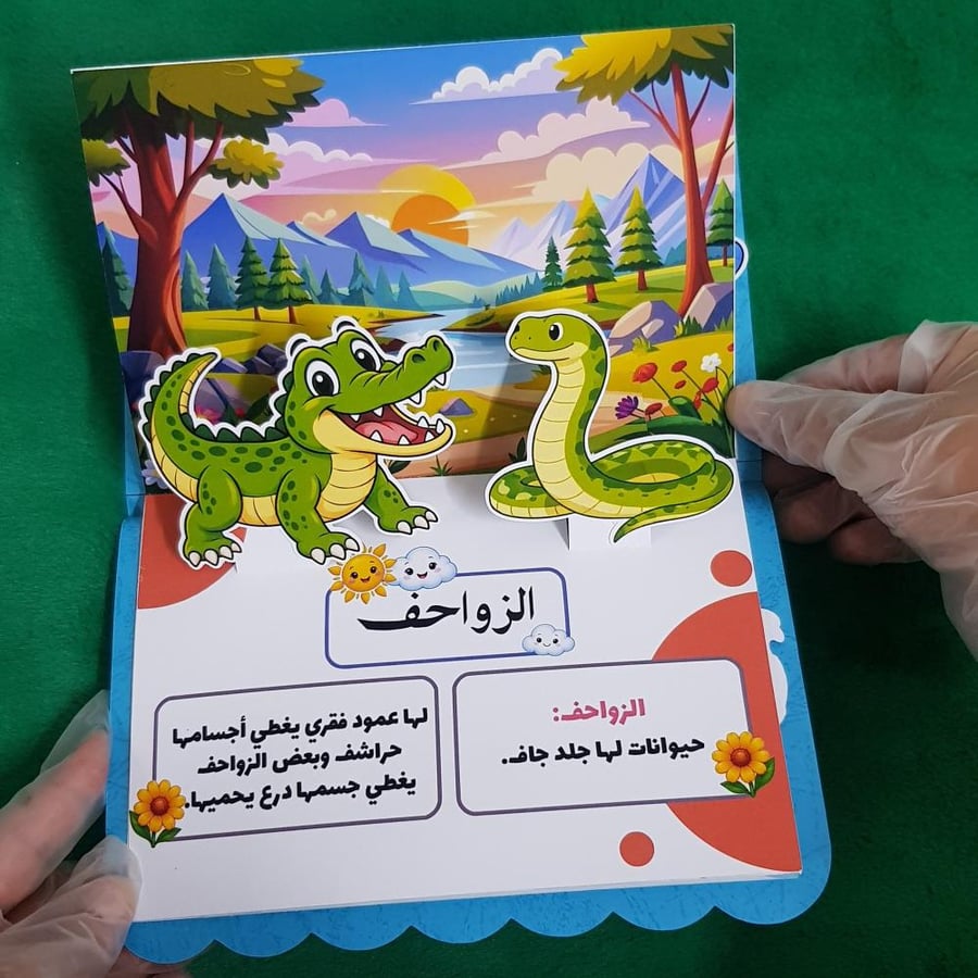 مطوية انواع الحيوانات صف اولي