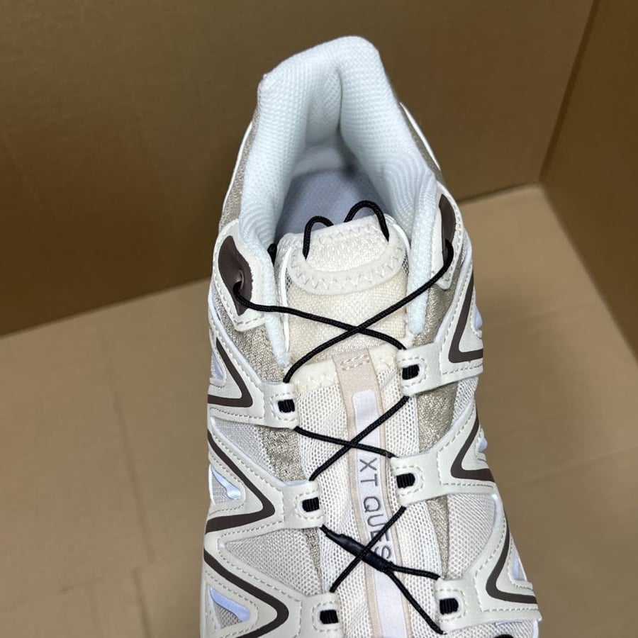 Salomon shoe