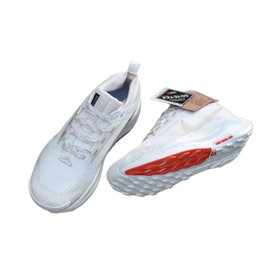 NIKE PEGASUS Trail 5 shoe