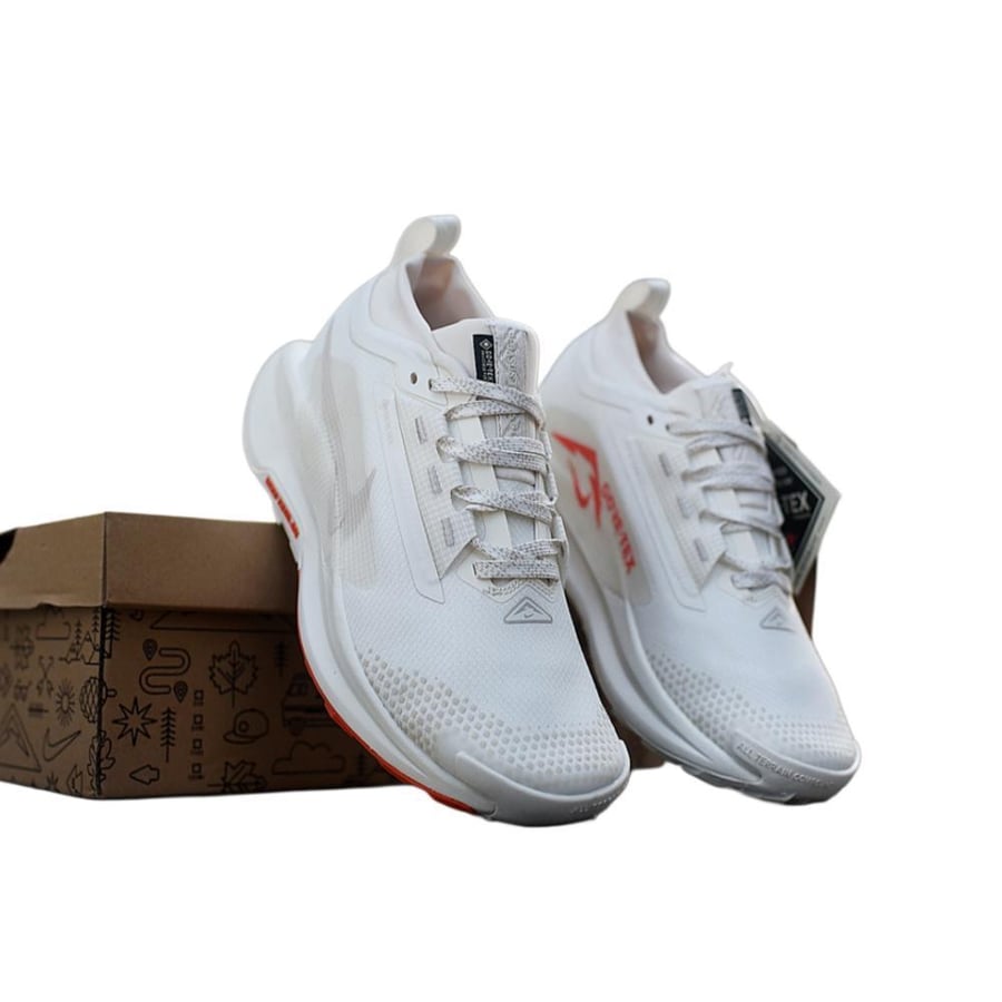 NIKE PEGASUS Trail 5 shoe