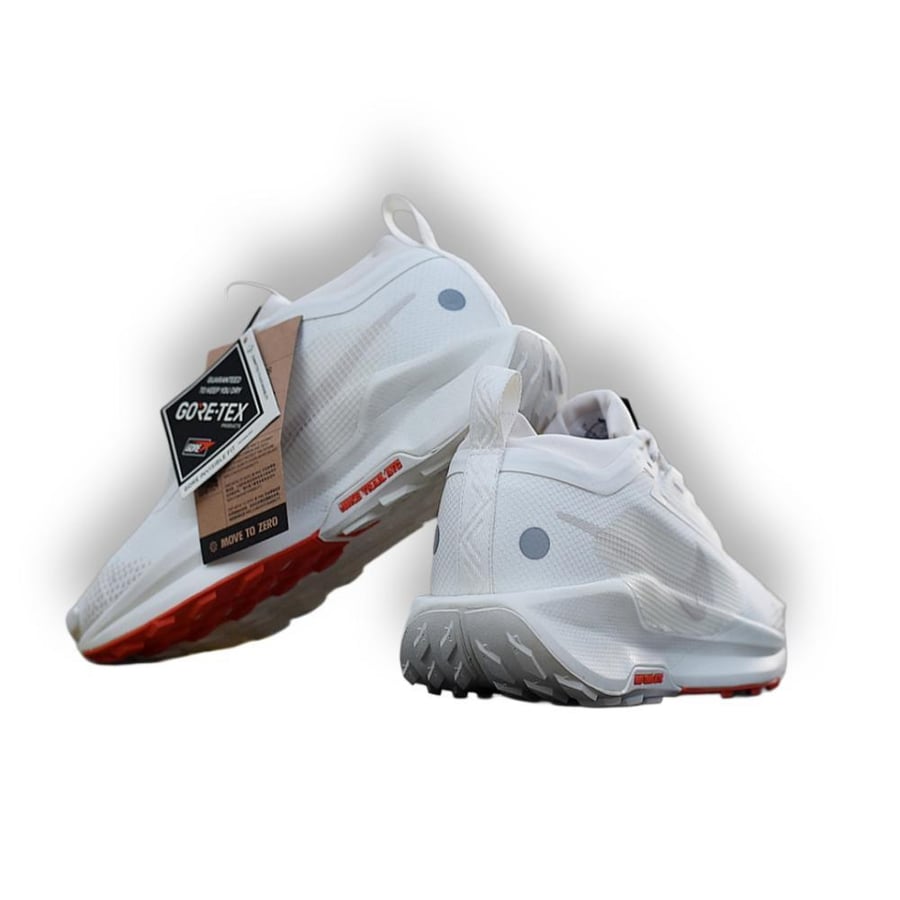 NIKE PEGASUS Trail 5 shoe