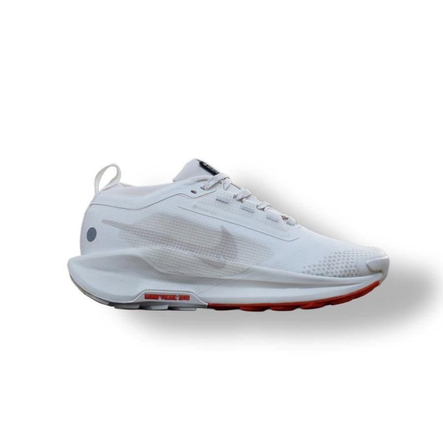 NIKE PEGASUS Trail 5 shoe