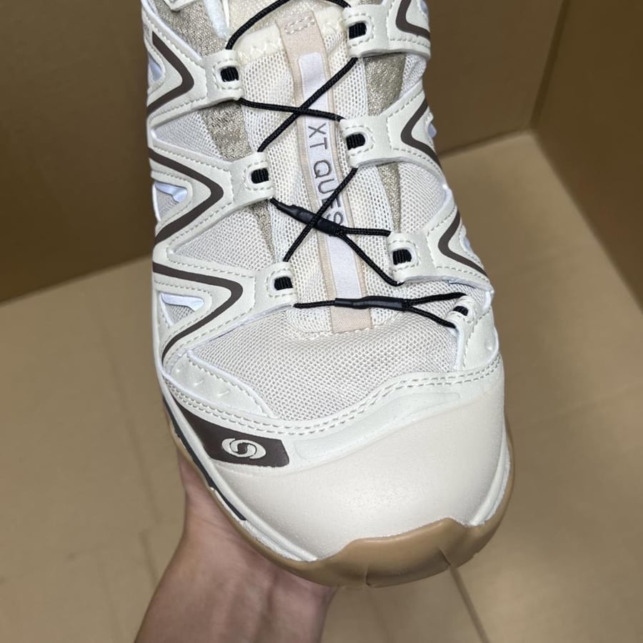 Salomon shoe