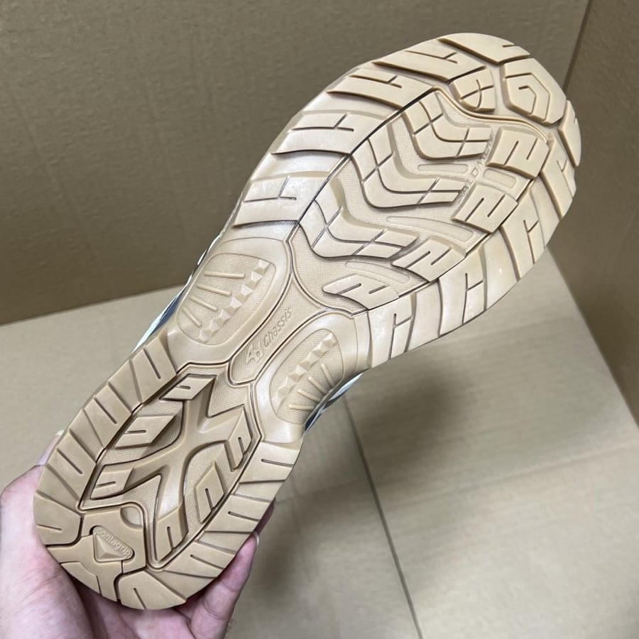 Salomon shoe