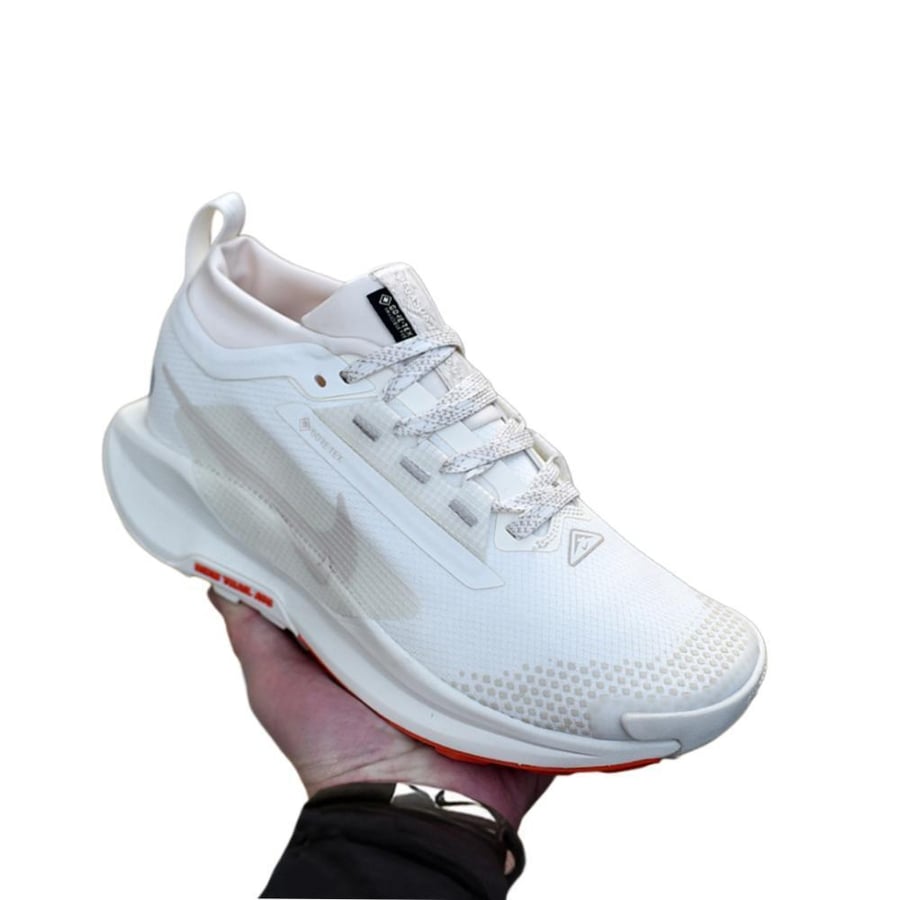NIKE PEGASUS Trail 5 shoe