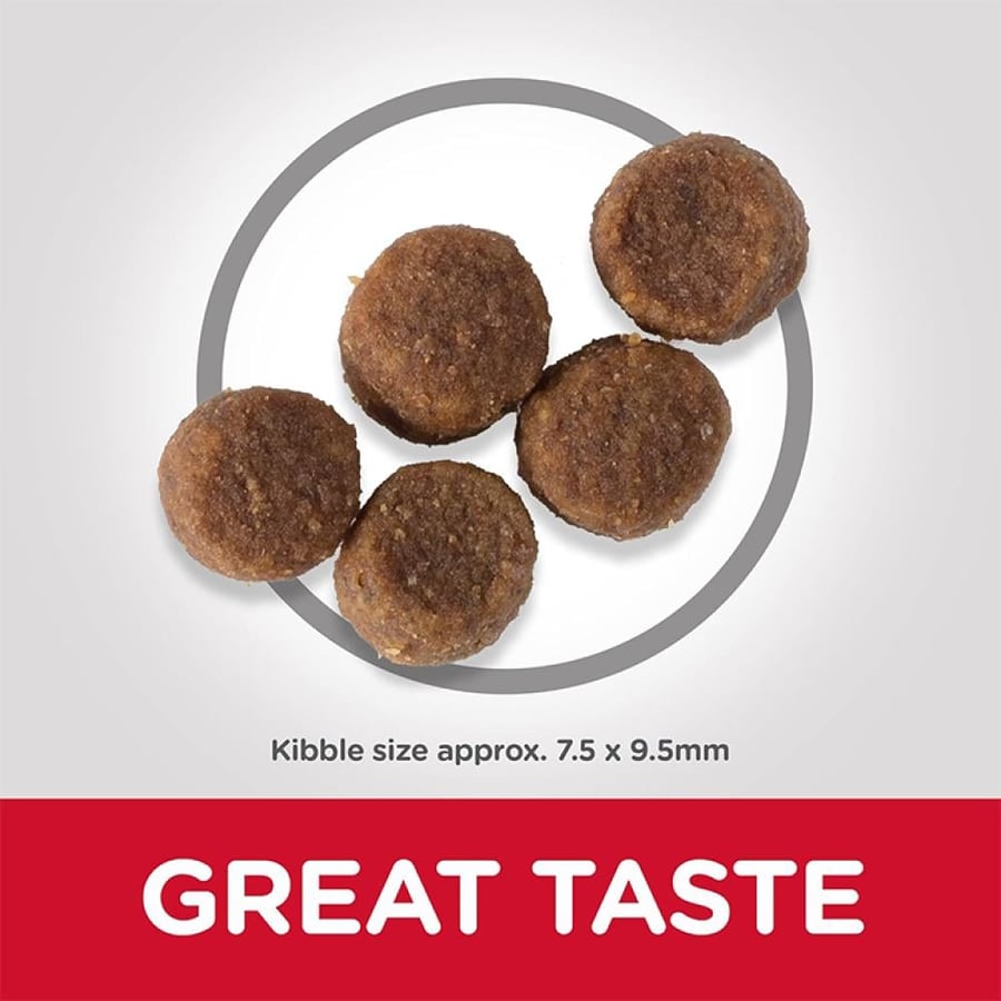 Hills Medium Breed Dry Puppy Food with Chicke