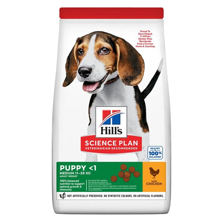 Hills Medium Breed Dry Puppy Food with Chicke