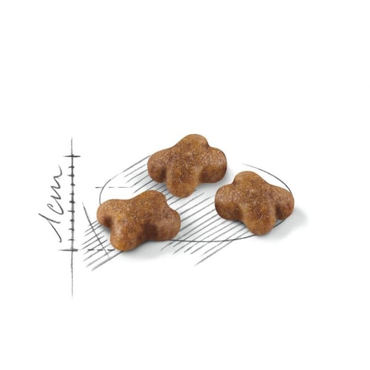 Royal Canin Kitten Dry Food for Kittens