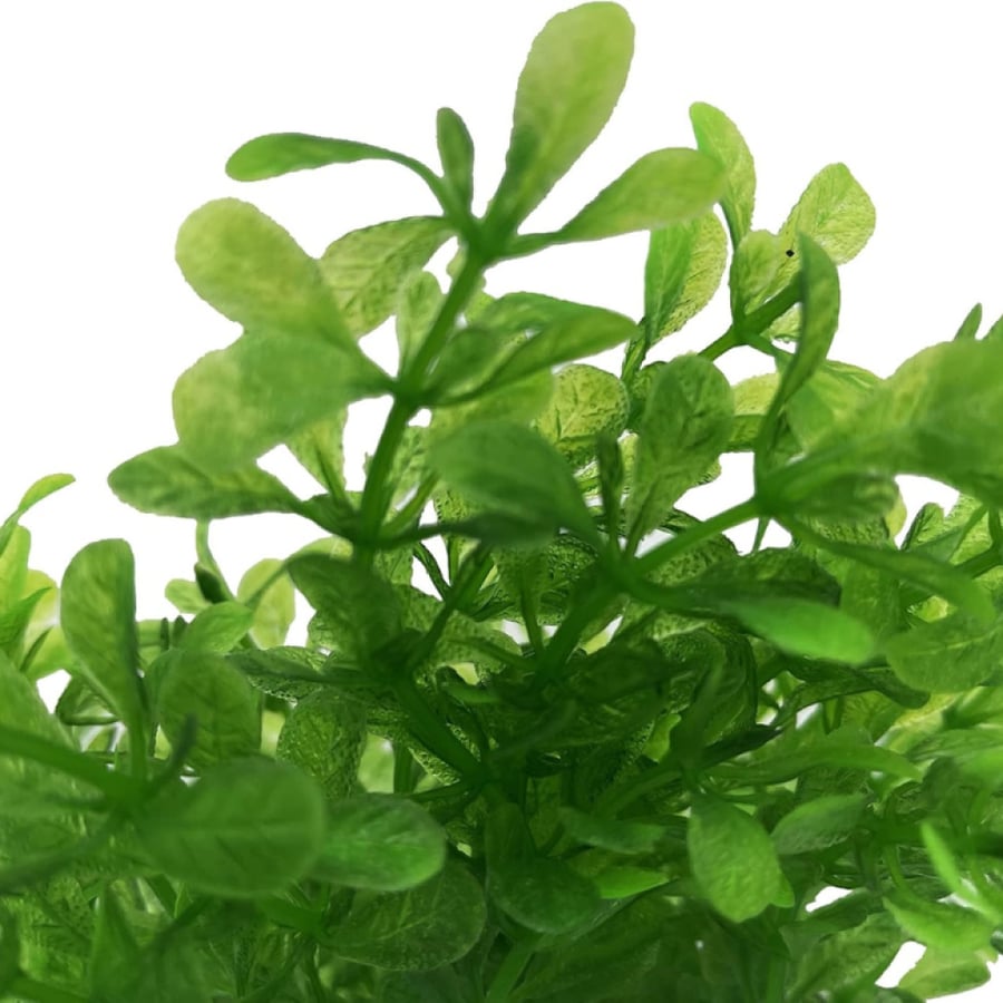 زينة حوض سمك نباتات خضراء 15 سم