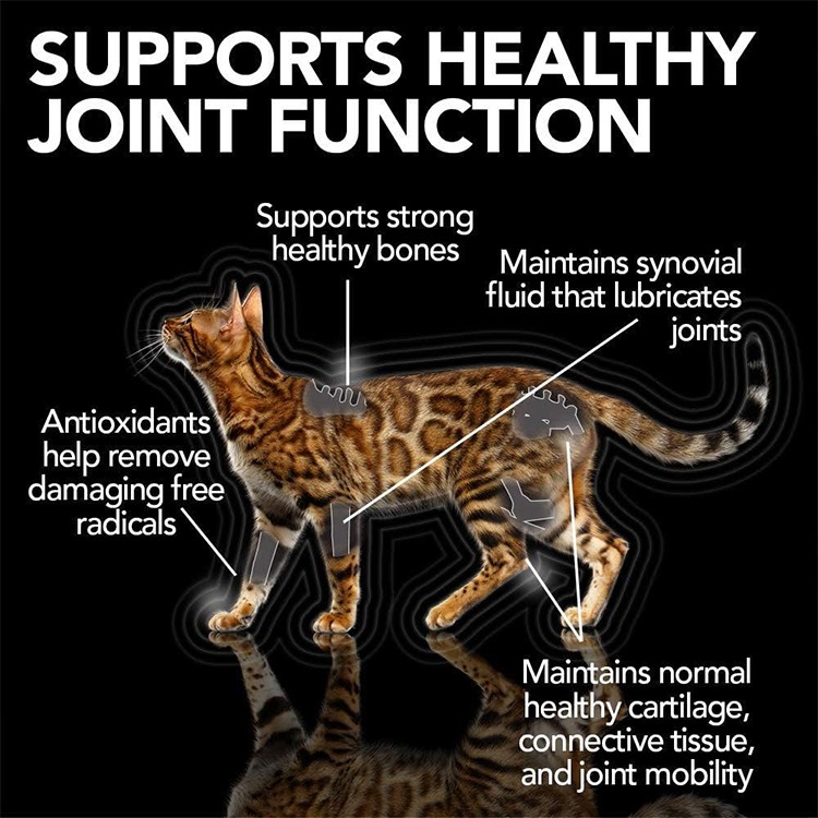 فيتس بسيت جل للقطط لدعم العضلات والمفاصل 100ج