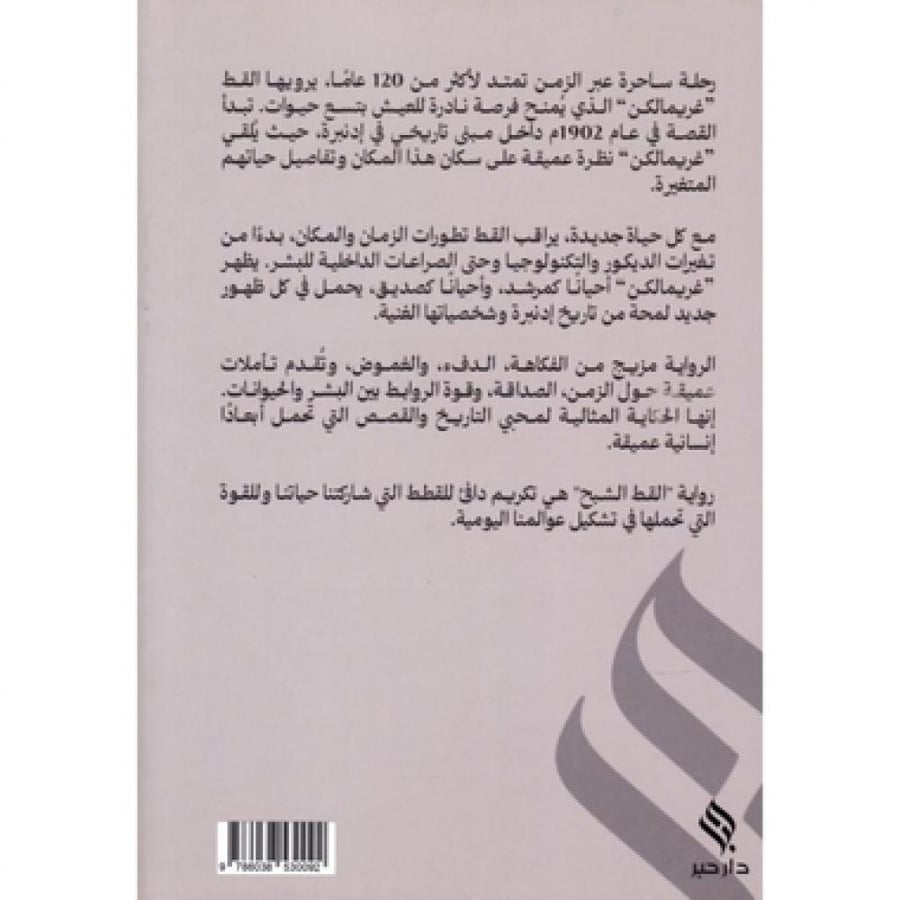القط الشبح