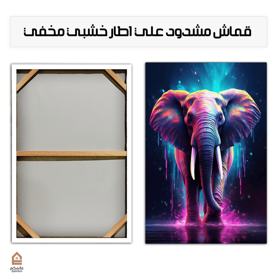 لوحة كانفس فيل ملون