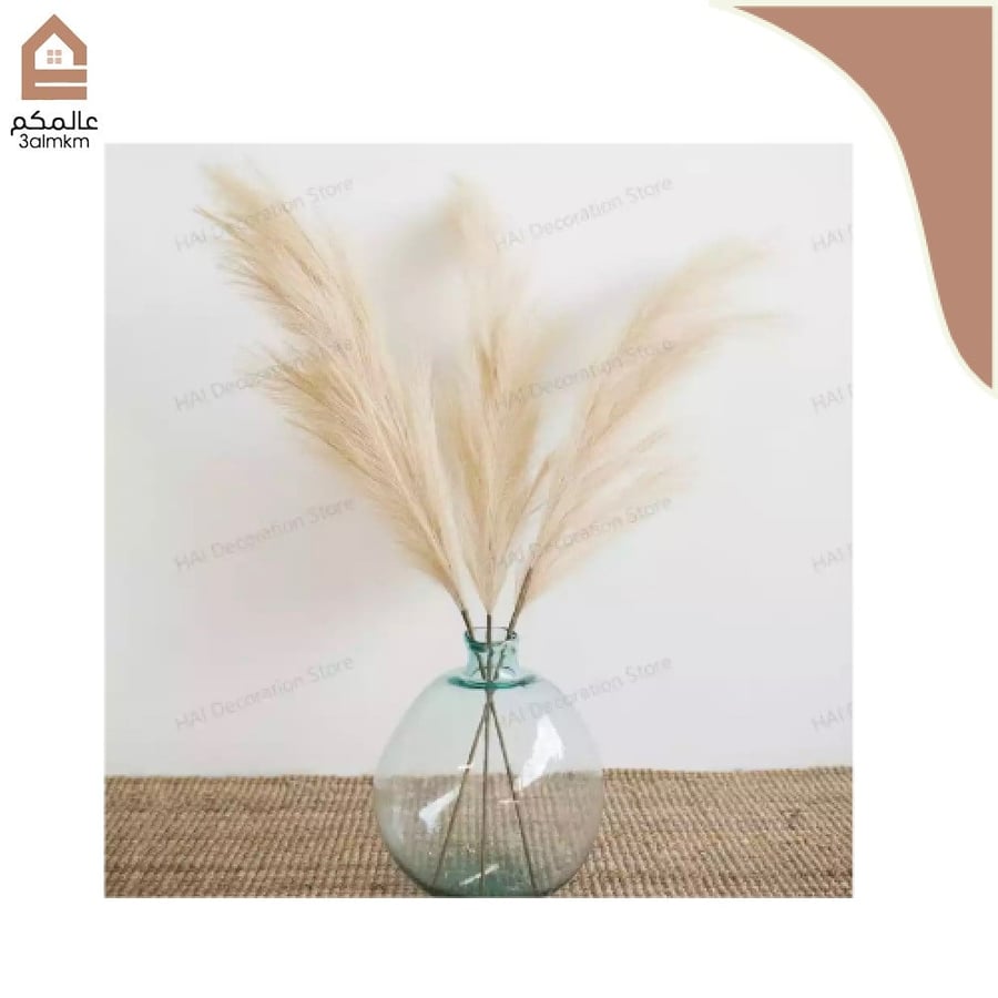 عشب بامباس الطبيعي حجم وسط (لون البيج)