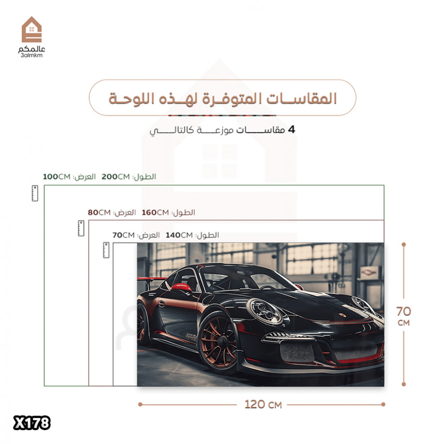 لوحة كانفس بورش 911 GT3RS