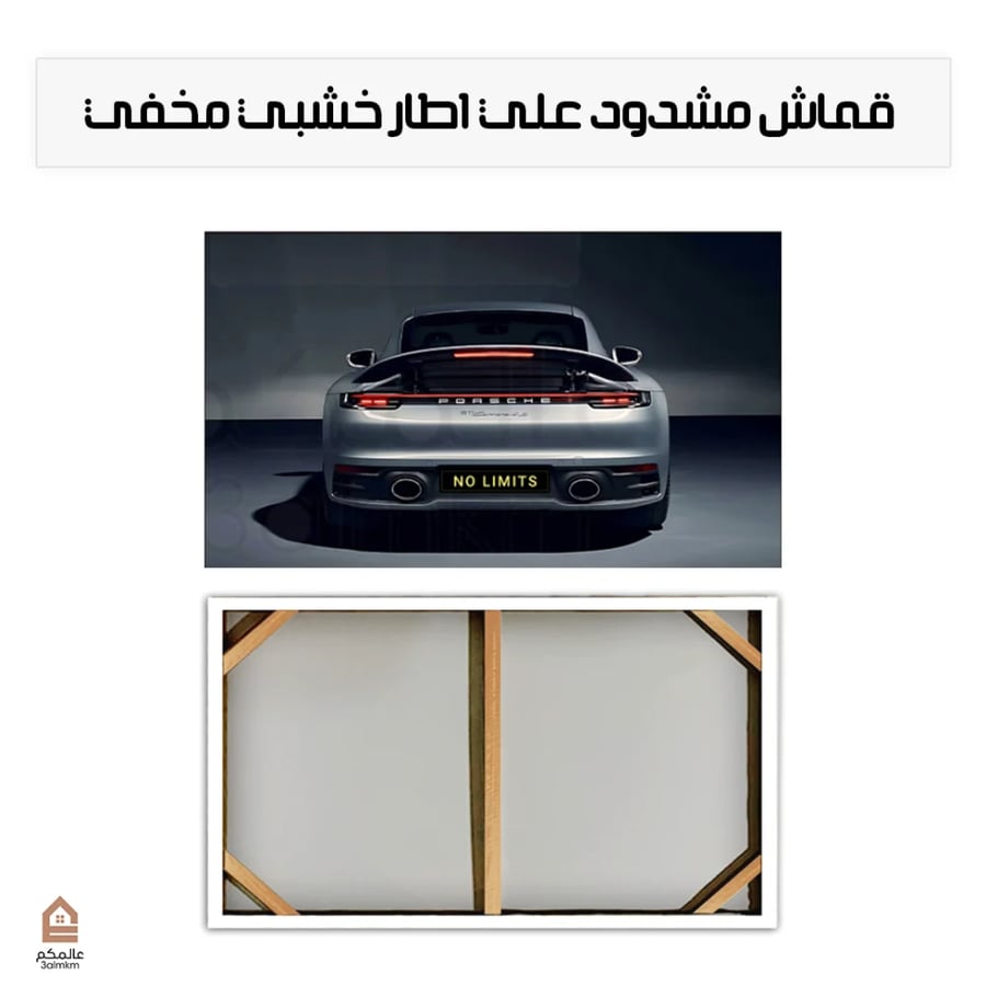 لوحة كانفاس بورش