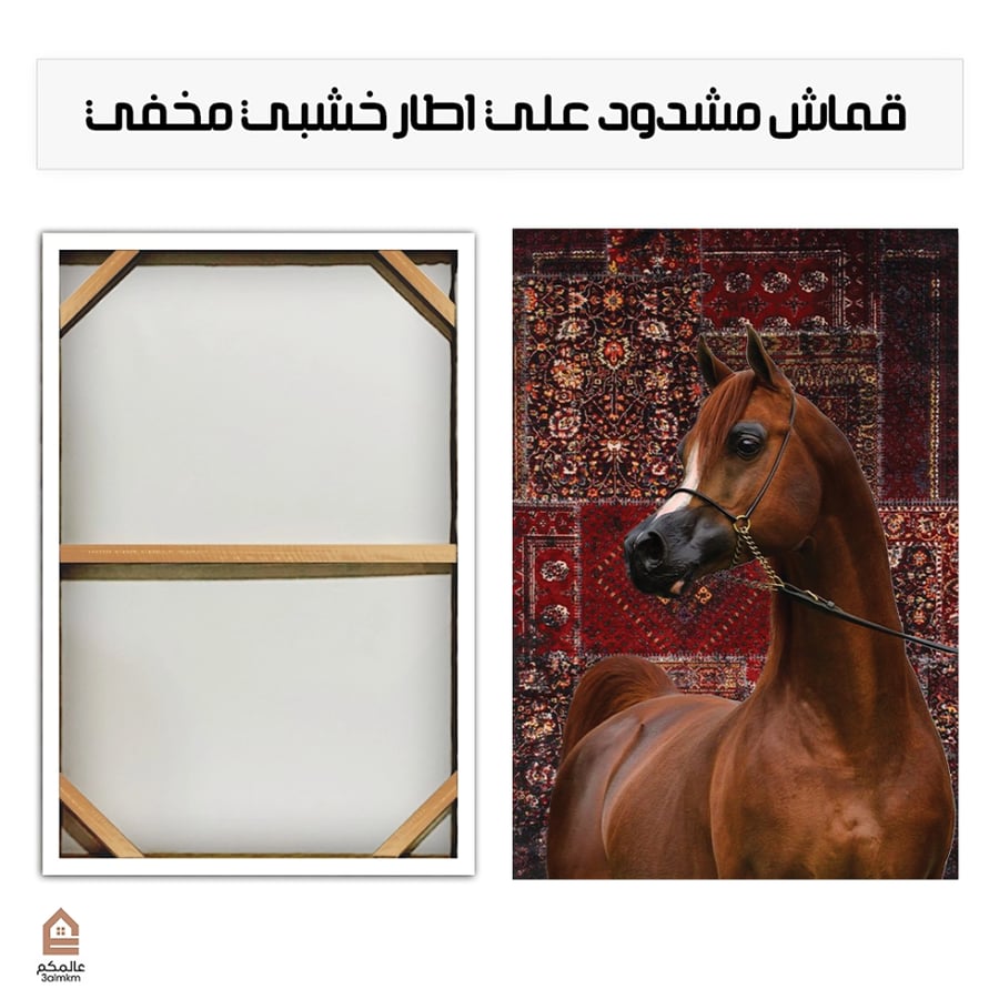 لوحة كانفس خيل