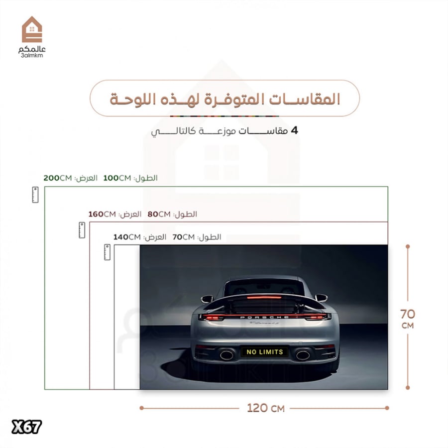لوحة كانفاس بورش