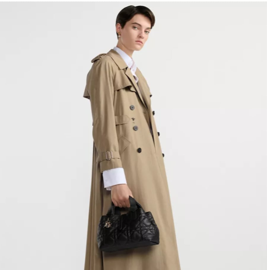 Sac Dior Toujours Small