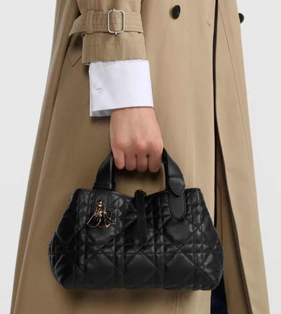 Small Dior Toujours Bag