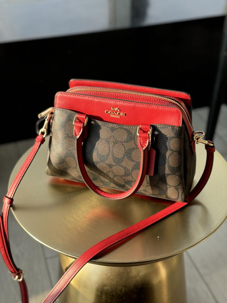 كوتش |  Mini Darcie Carryall In Signature Canvas