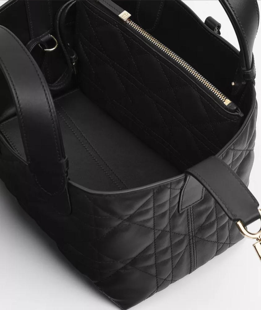 Small Dior Toujours Bag