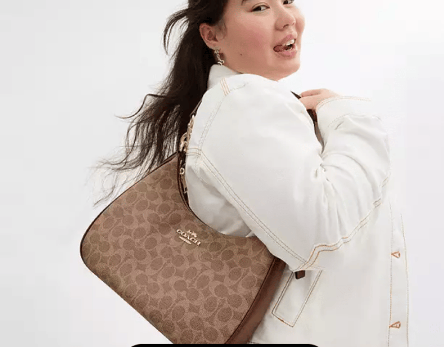 Teri Hobo Bag