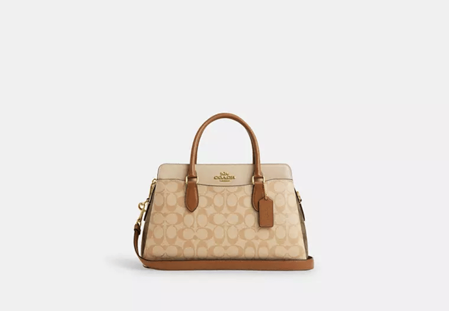 شنطة coach بيج
