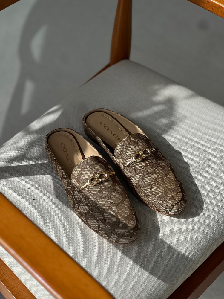 كوتش | 38.5 | Sienna Slide