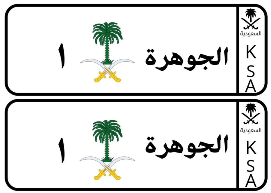 لوحة سيفين ونخلة عربي فقط