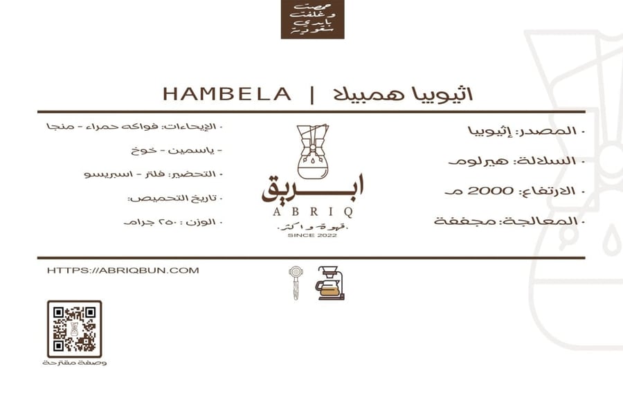 شنطة قهوة v60 فاخرة