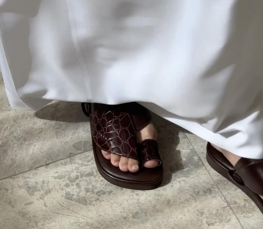 بطن تمساح