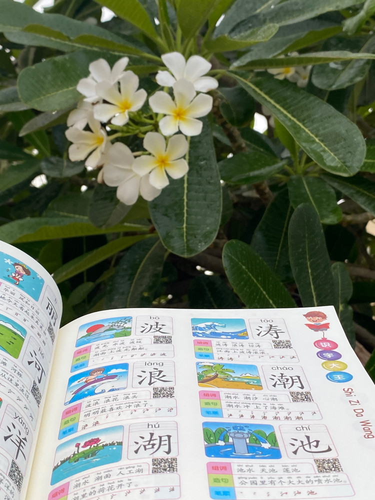 كتـاب تعليـمي لـ 1400  كلمة (لغة صينية)