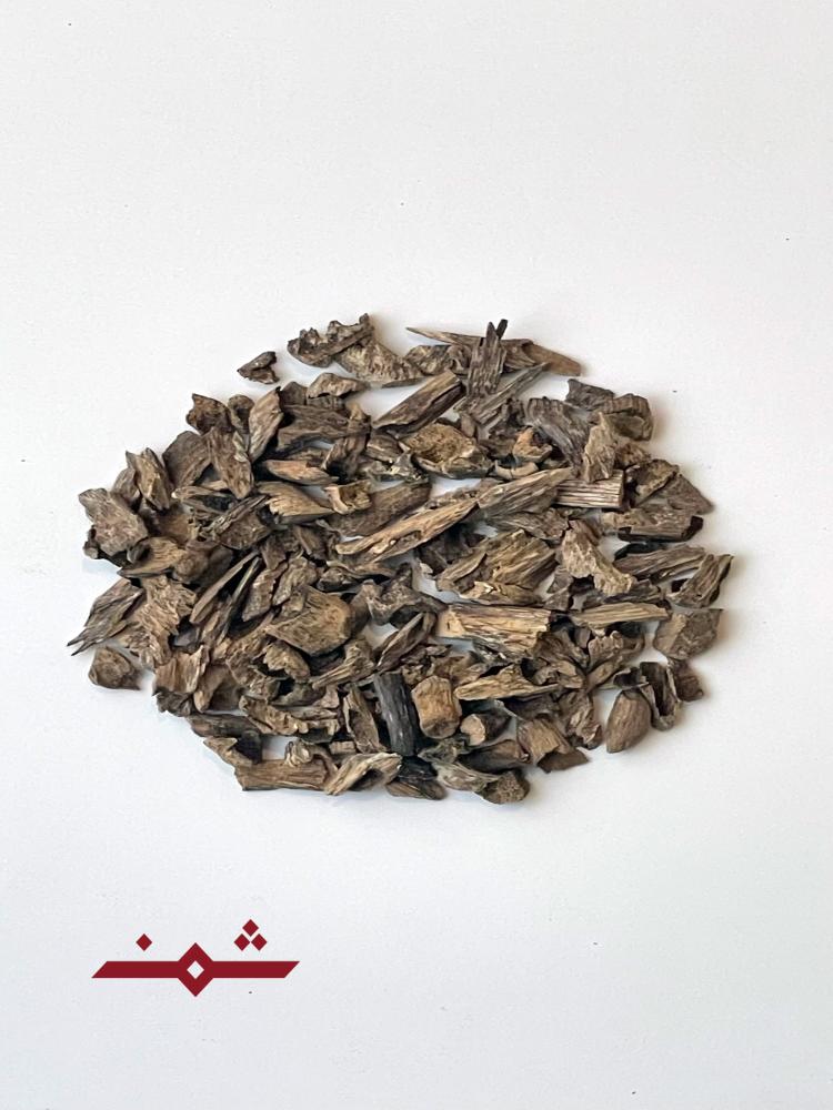ميني موري يومي