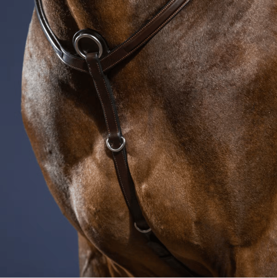 BREASTPLATE  NEW ENGLISH COLLECTION