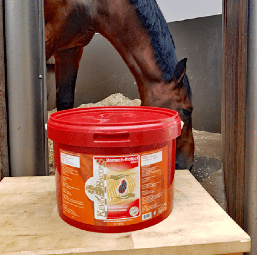 STOMACH PROTEK ASSIST 1.6KG