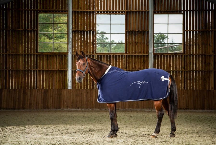 Fleece Rug