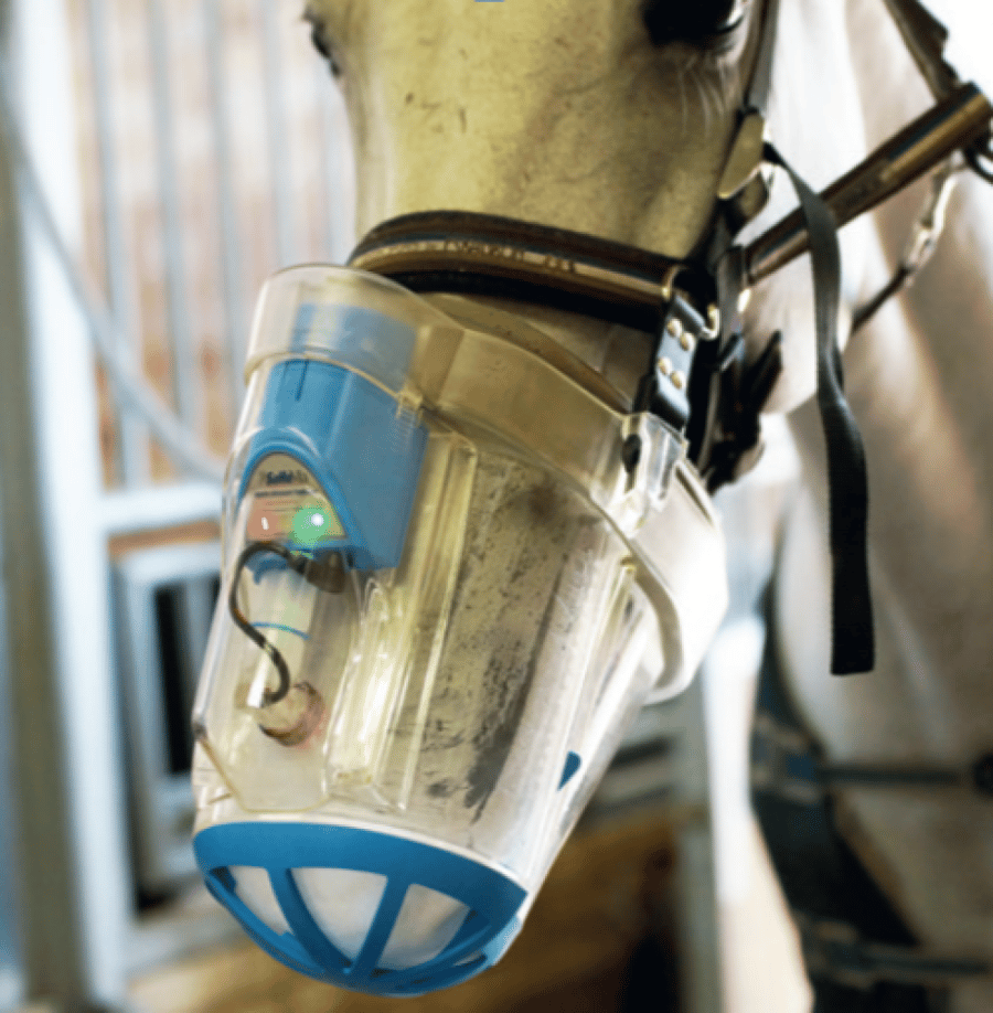 SAHOMA - II HM-2000-1 INHALATION SET FOR HORSES