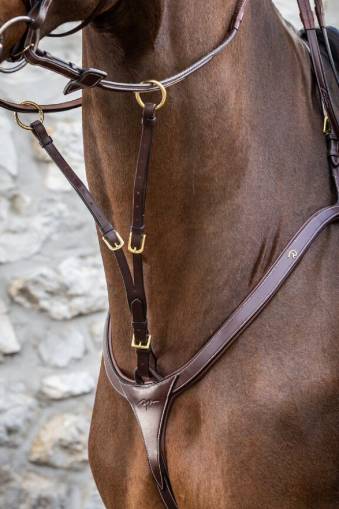 Running Martingale Attachment