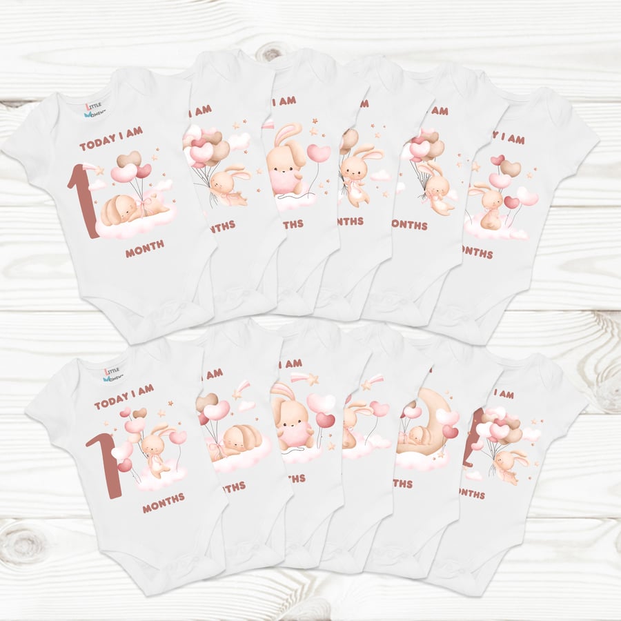 Set of 12 - Sleepy rabbit