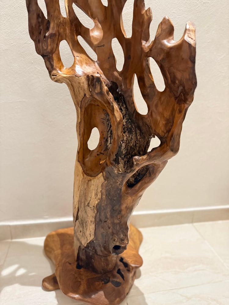 A masterpiece of natural wood, height 1.25 cm, with a base of teak wood.