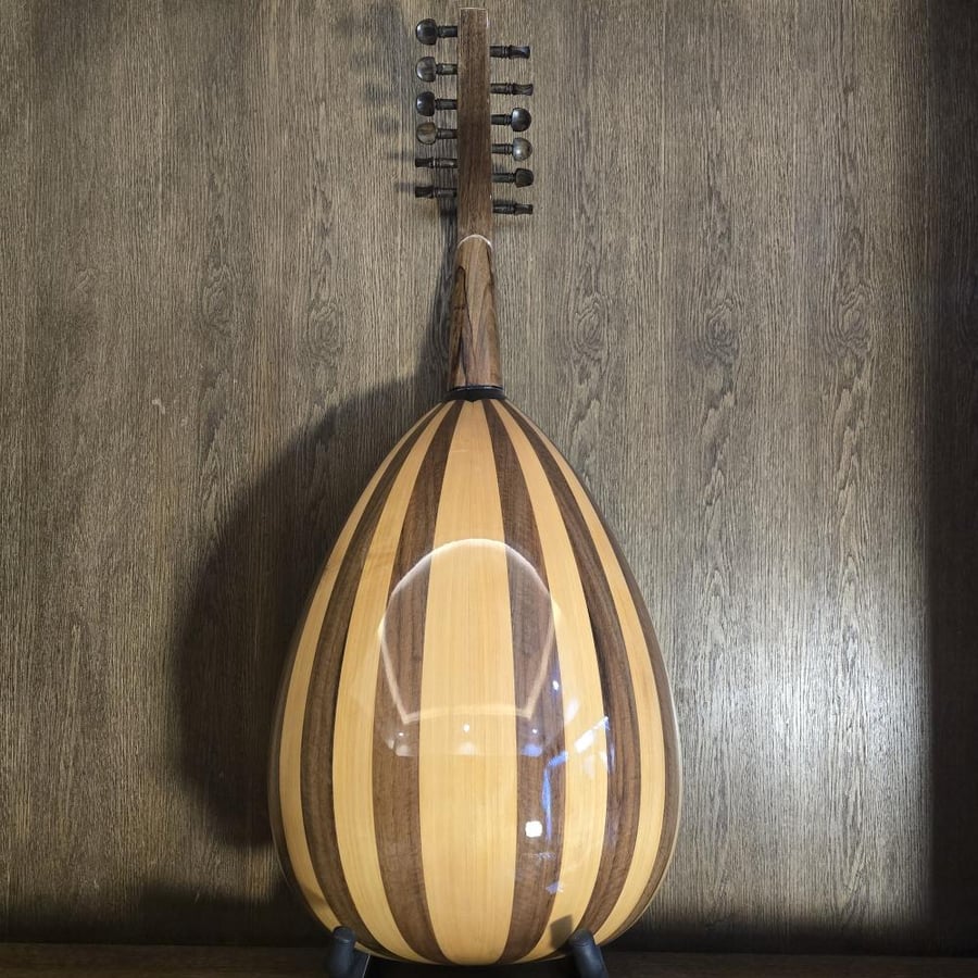 عود زرياب عراقي 1 بلس