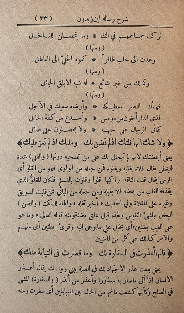 سرح العيون شرح رسالة ابن زيدون