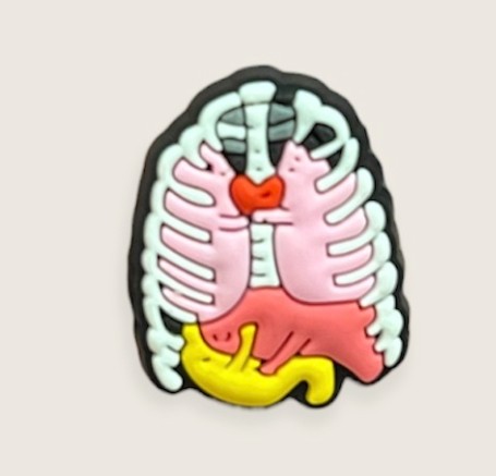 Hugging Anatomy Pins