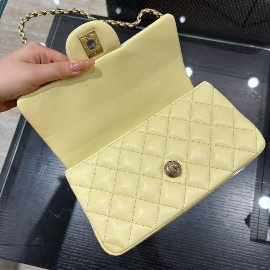Chanel Flap Bag 20cm
