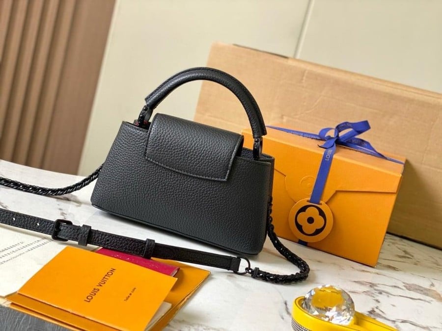 Louis Vuitton mini capes