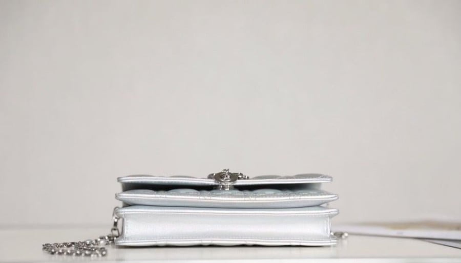 Lady Dior clutch