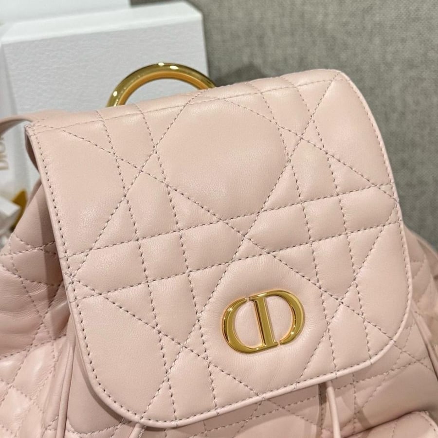Dior backpack size 23cm