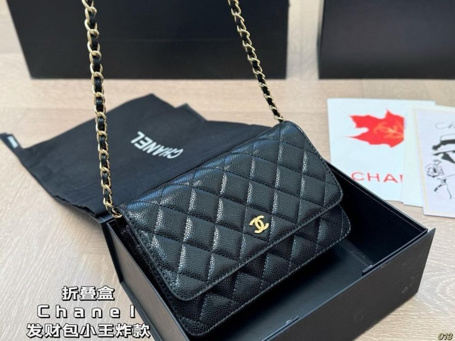 شنطة نسائية CT3