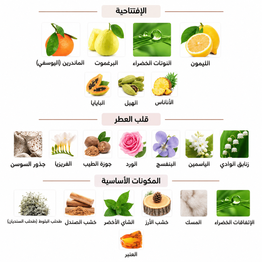 مستخدم | عطر كالفن كلاين سي كيه او دو تواليت 100 مل