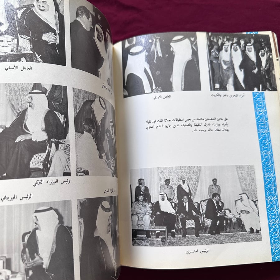 A105b فهد في صور